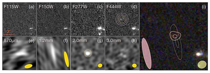 发现高红移的尘埃星系