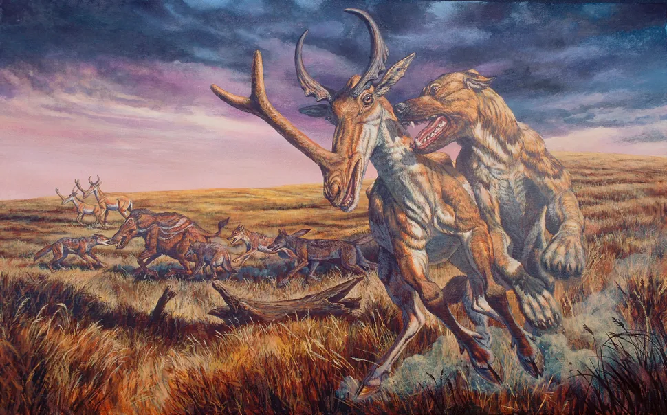 ϵĽӡʾ1200ǰʯ԰д͵Ȯβ桰ӱϬţ