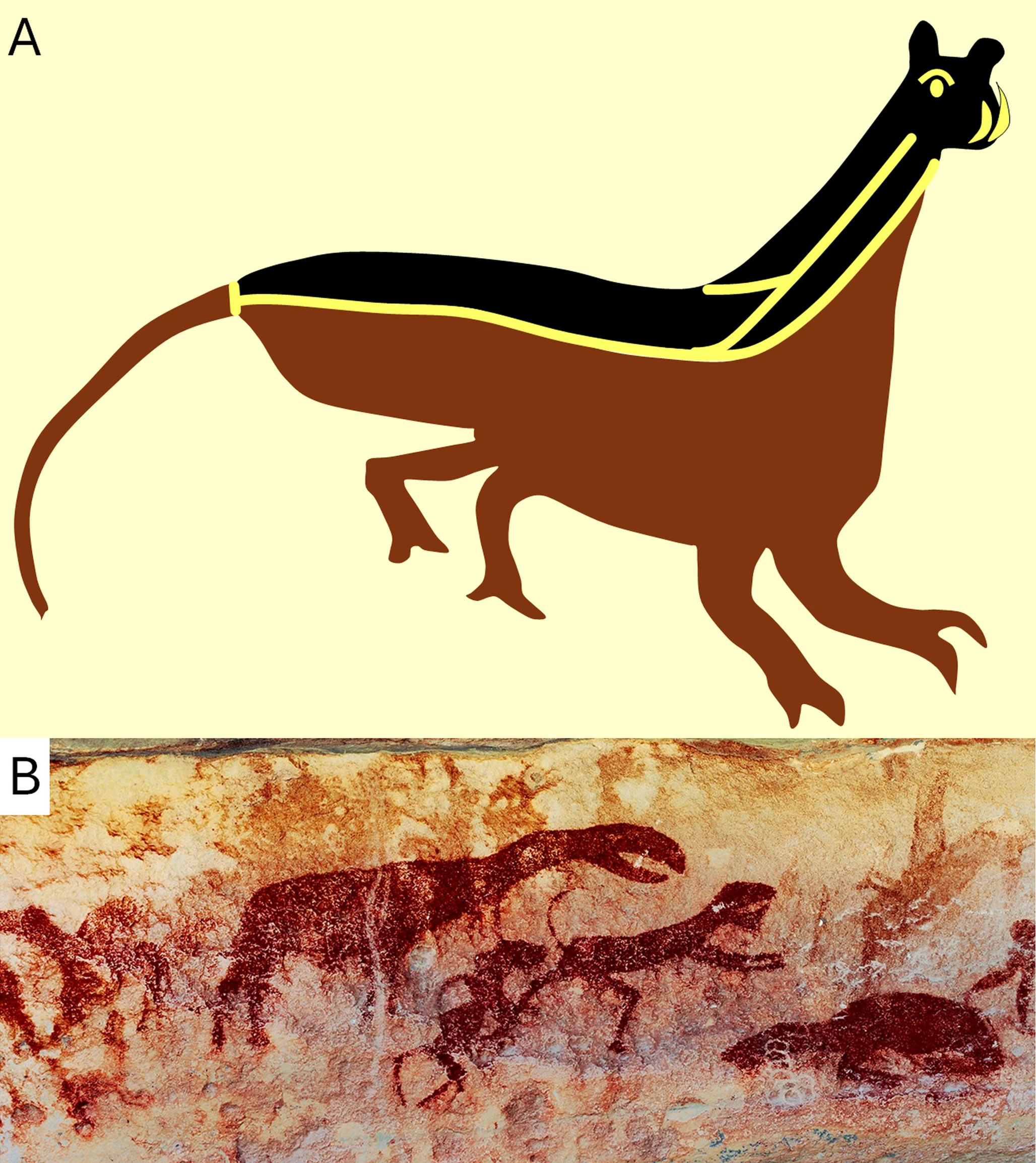 ʯѧǷ֪ʶдʿıʼǽ